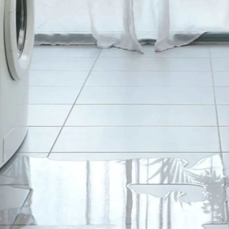 Appliance Leak Cleanup in Washington County, UT