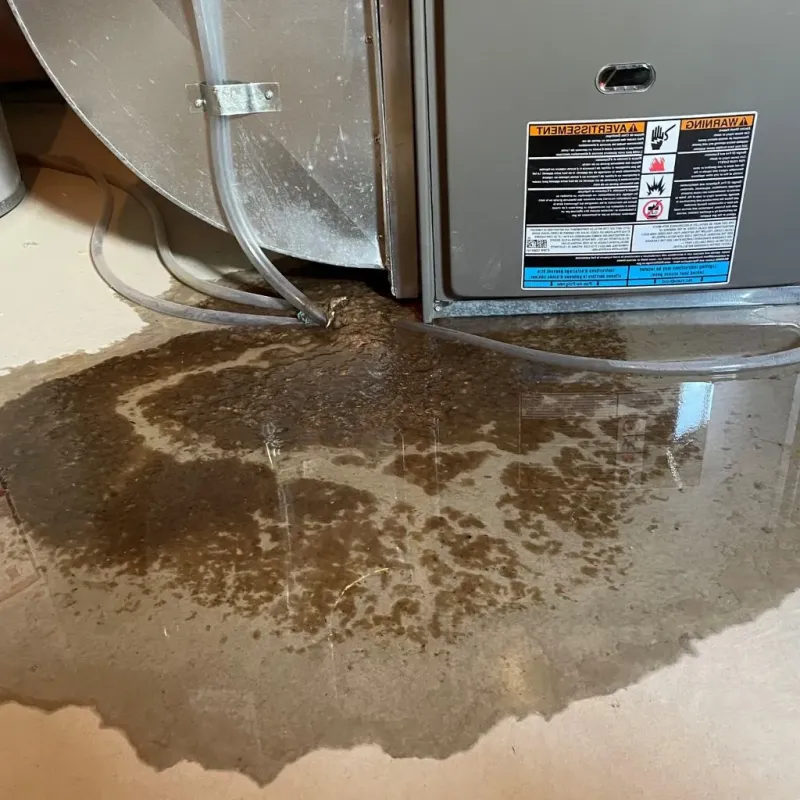 Pipe Burst and Leak Restoration in Washington County, UT
